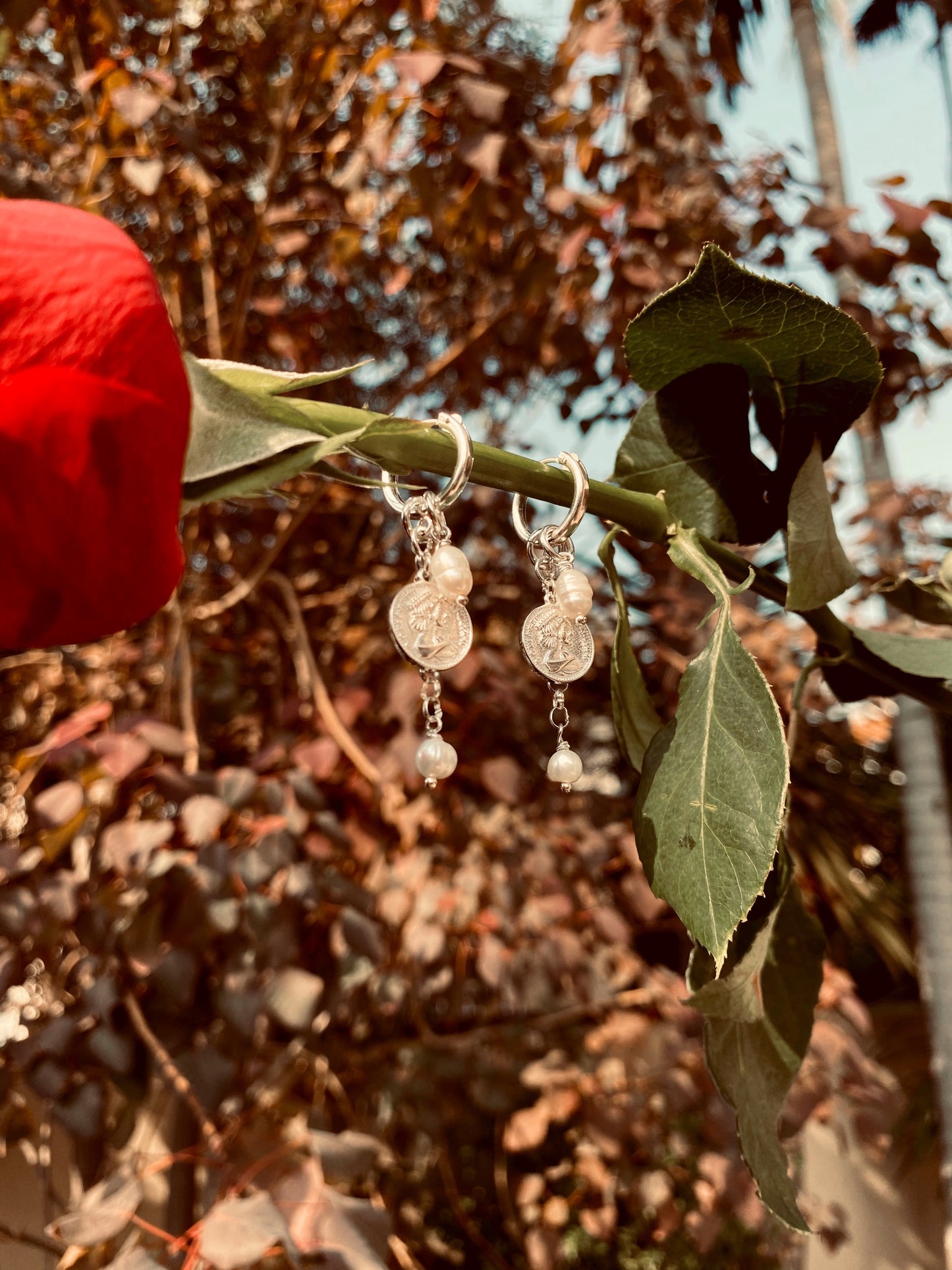 BONSOIR earrings